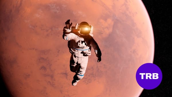 How Skift survived Covid